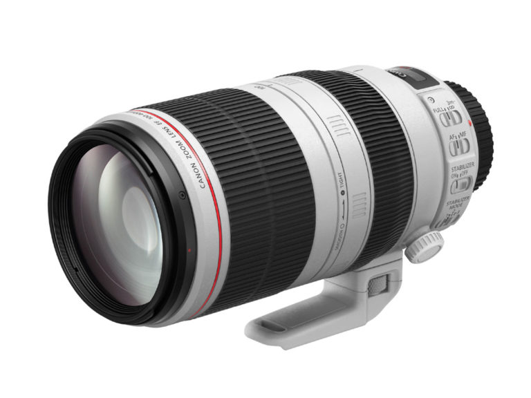 Canon Objektiv EF 100-400mm 1:4,5-5,6L IS II USM